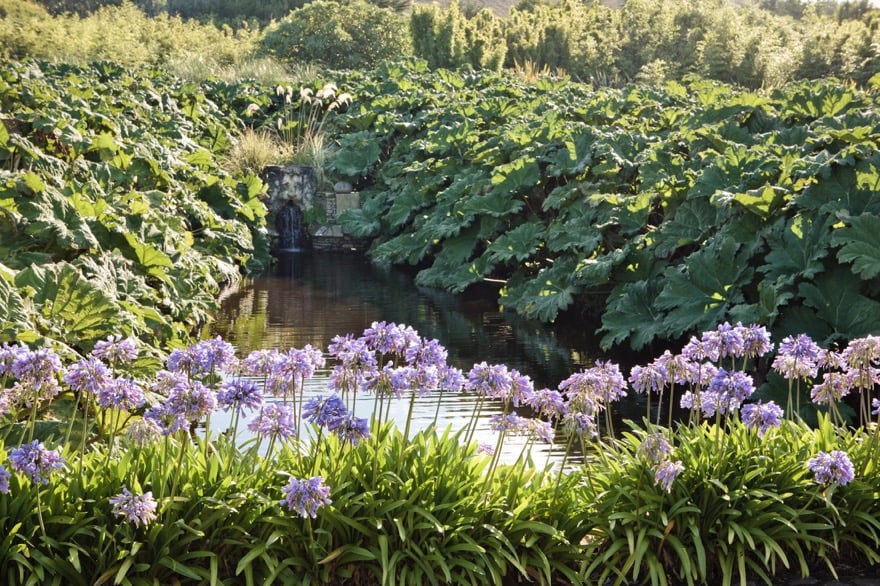 Jardin botanique de Vauville 1